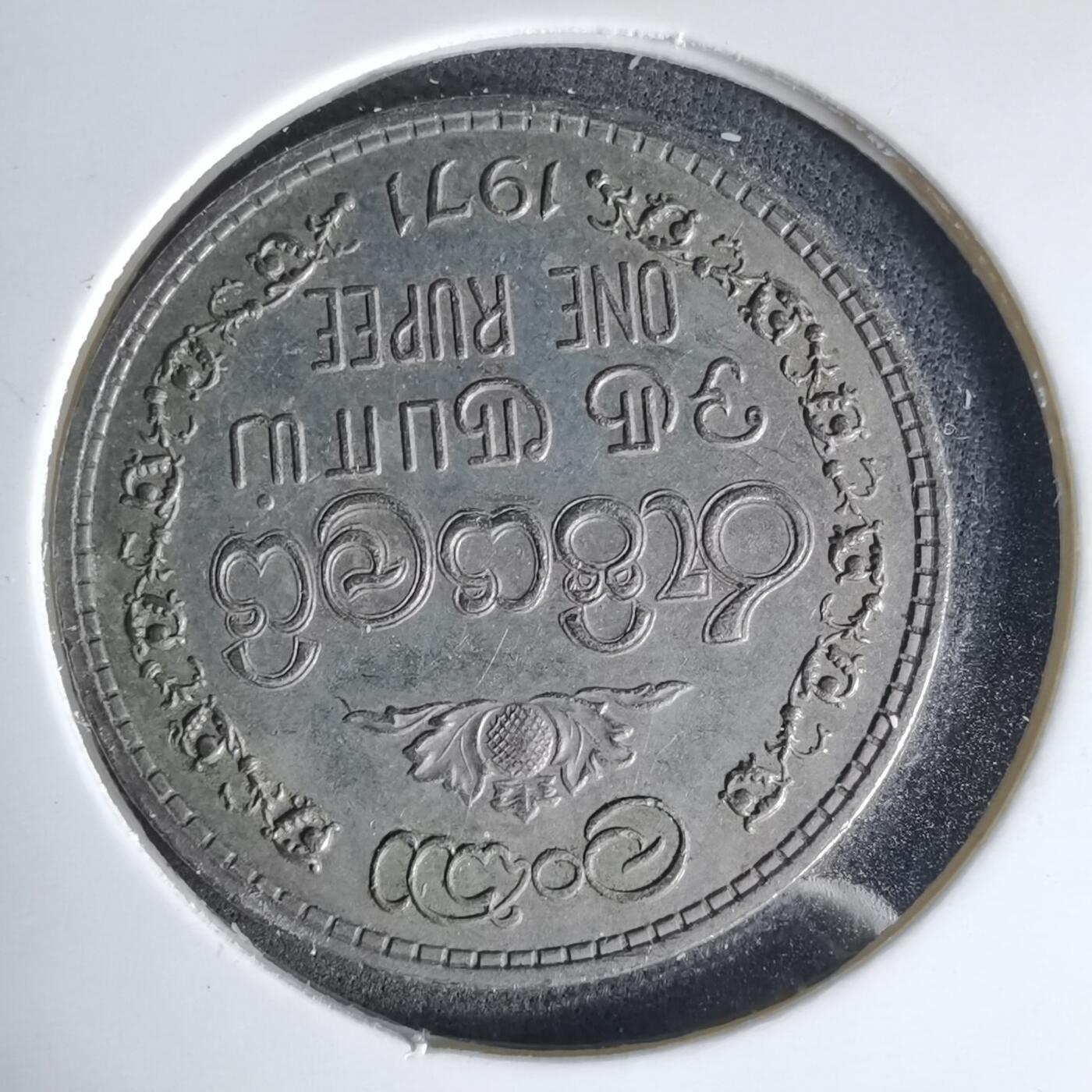 沼泽如烟--第999场