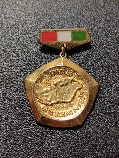 靖甫拍卖第五场 - 匈牙利优秀社会工作者奖章