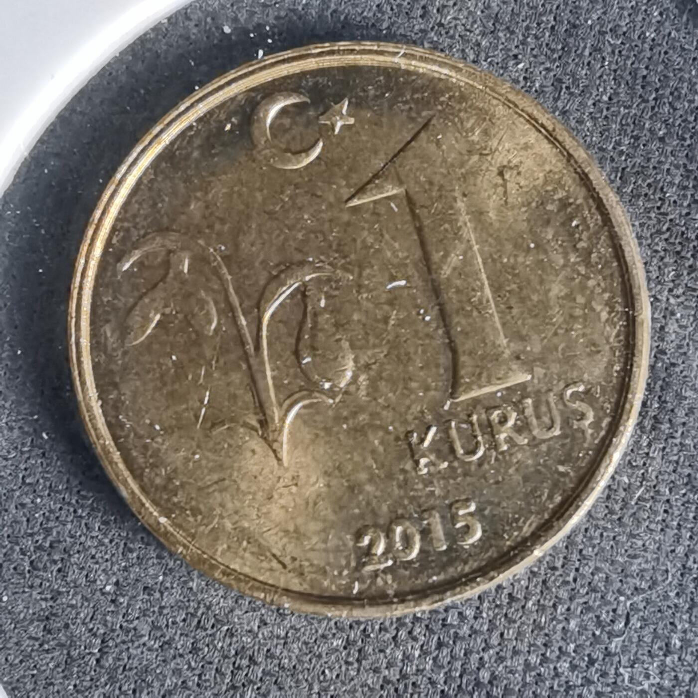 沼泽如烟--第999场