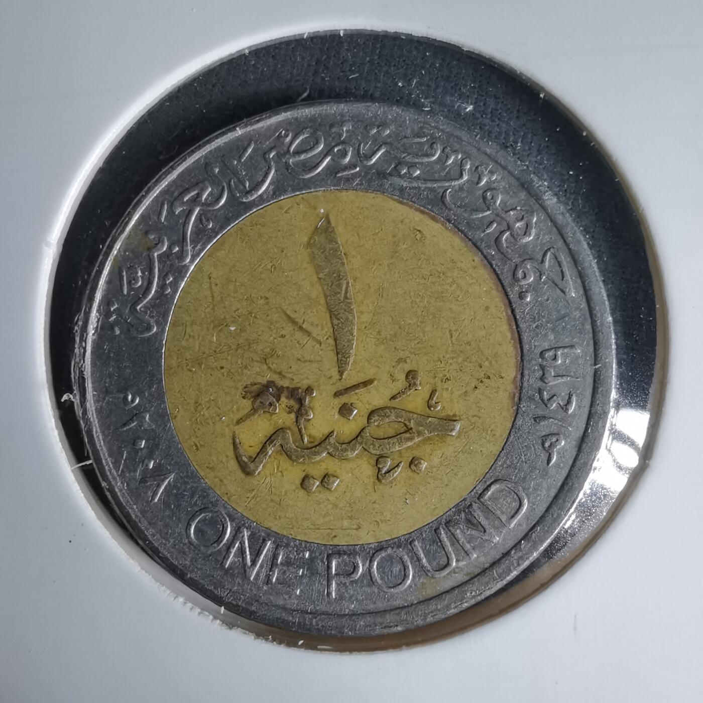 沼泽如烟--第999场