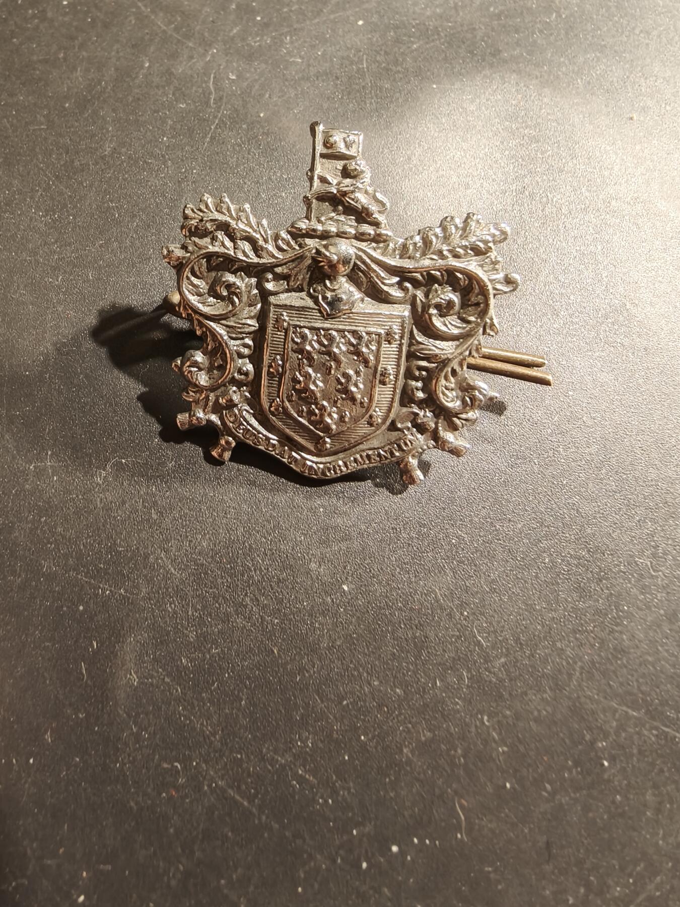 老王徽章第183期