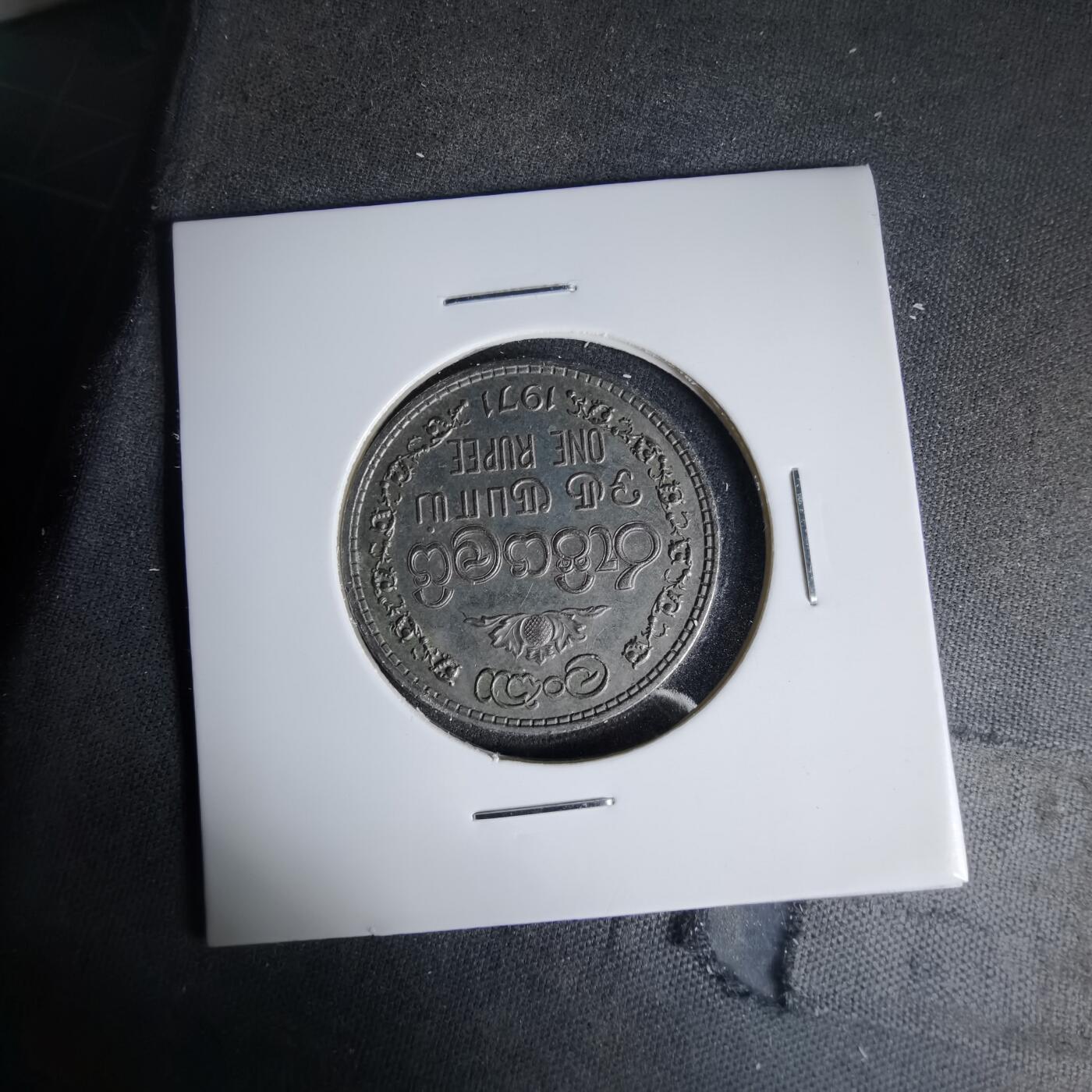 沼泽如烟--第999场