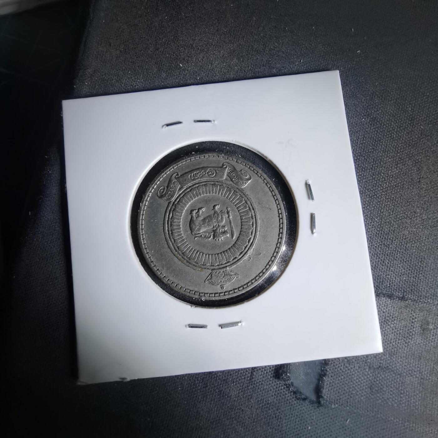 沼泽如烟--第999场