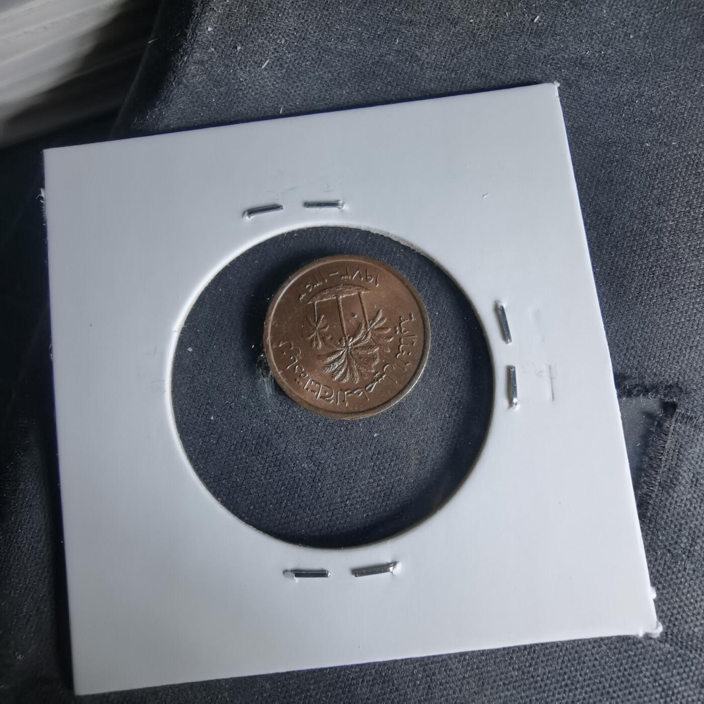 沼泽如烟--第999场