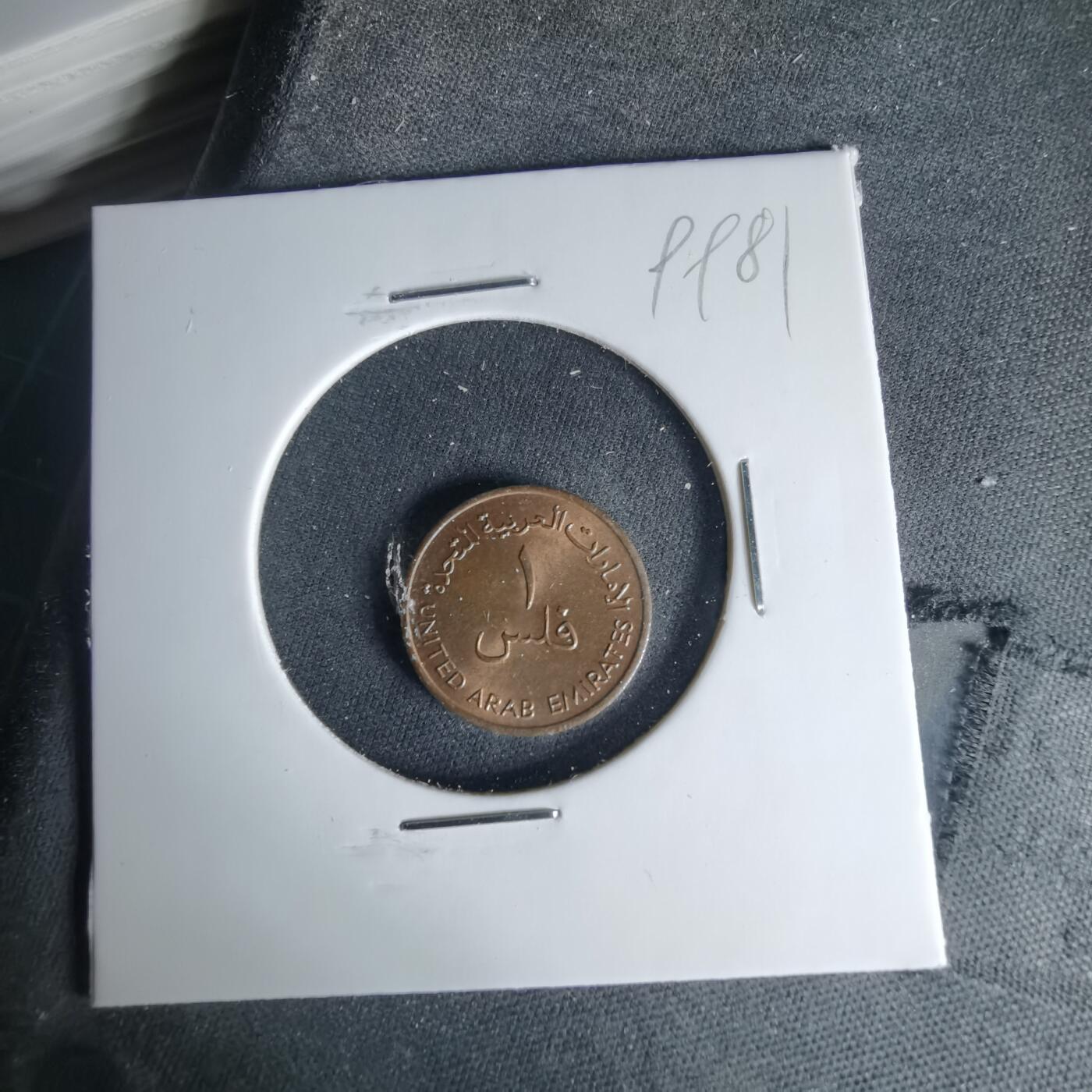 沼泽如烟--第999场