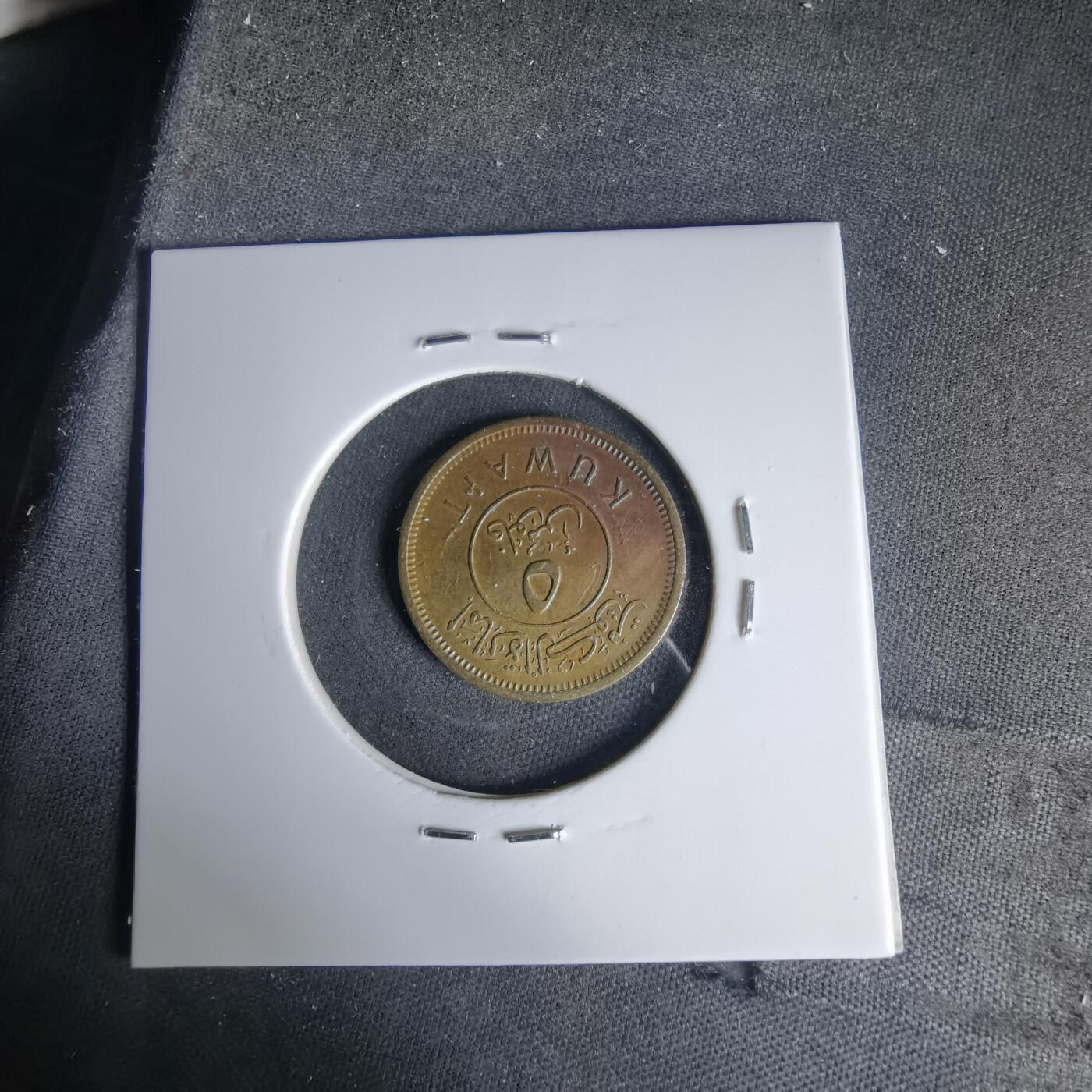 沼泽如烟--第999场