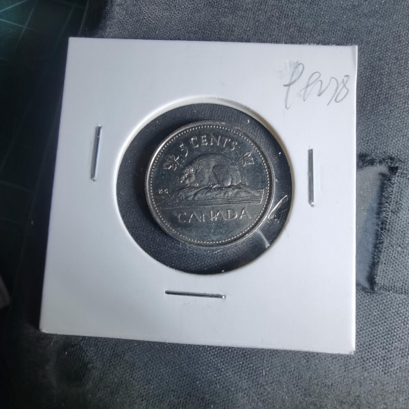 沼泽如烟--第999场