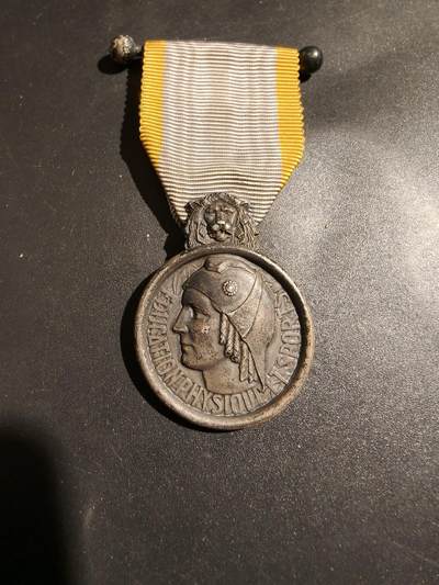 老王徽章第183期 - 法国银级体育奖章    950银    18.5g