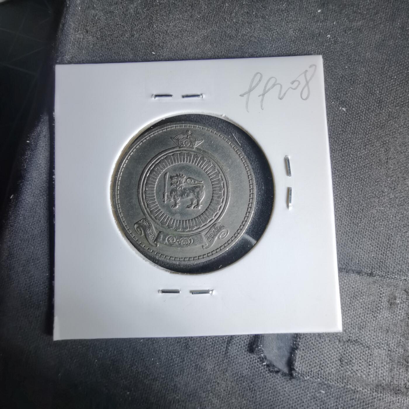 沼泽如烟--第999场