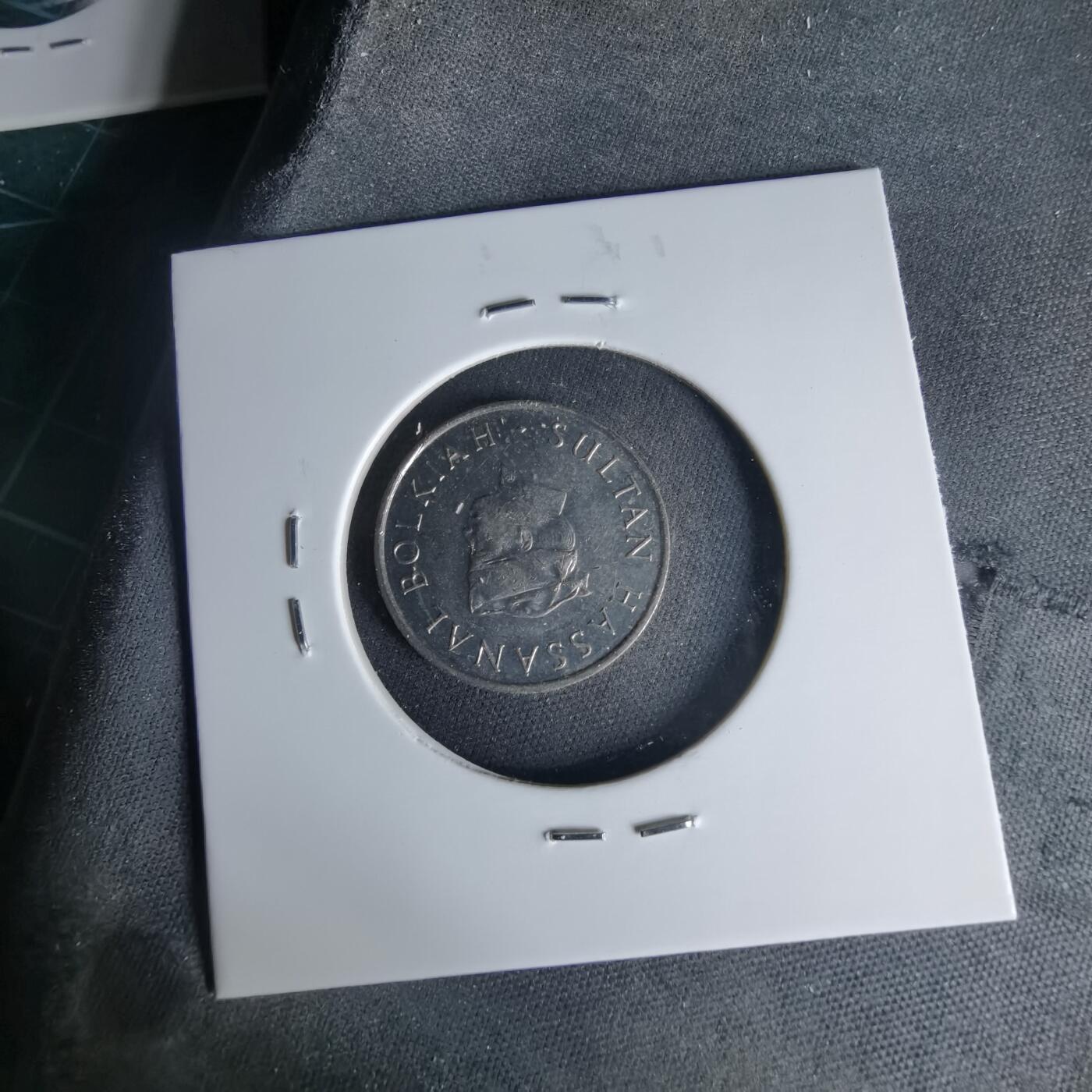 沼泽如烟--第999场