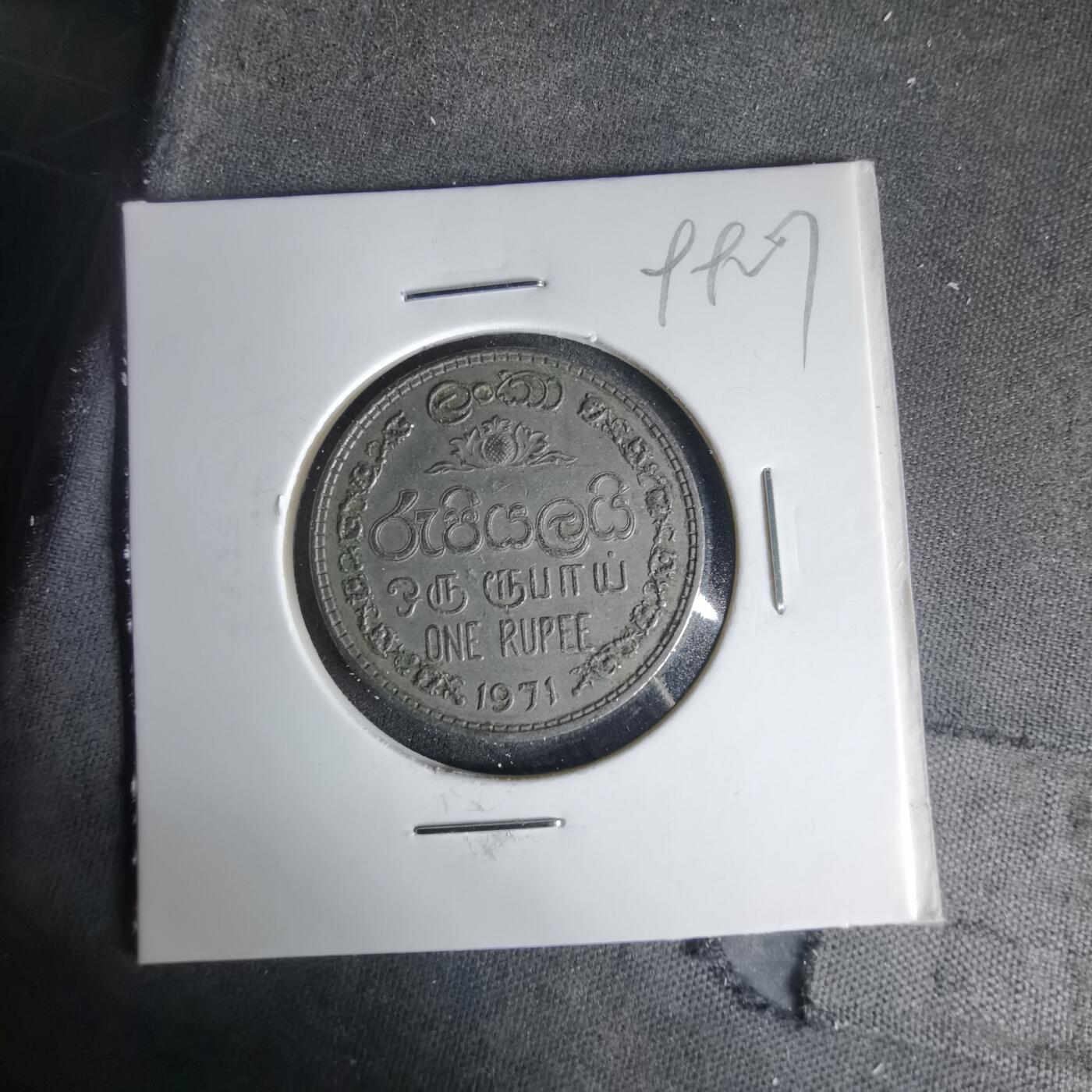 沼泽如烟--第999场