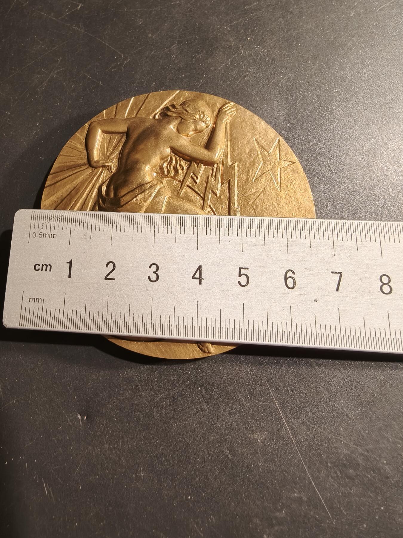 老王徽章第183期 法国电气工程总工会大铜章     原盒     直径66mm     重量164.3g