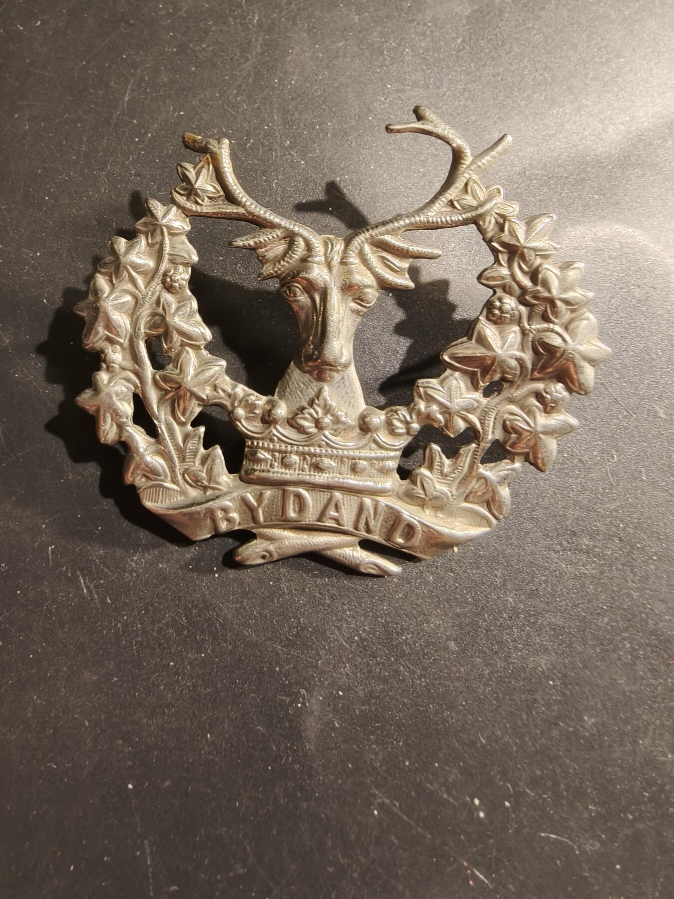 老王徽章第183期