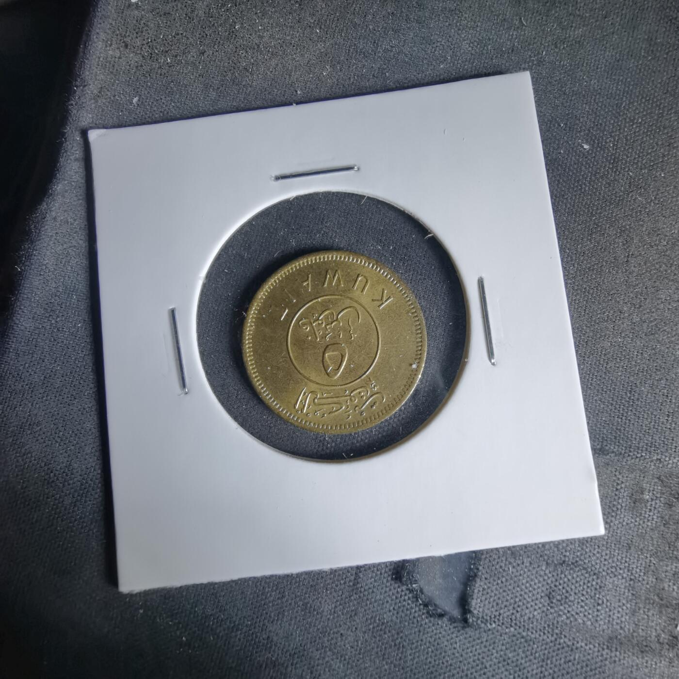 沼泽如烟--第999场