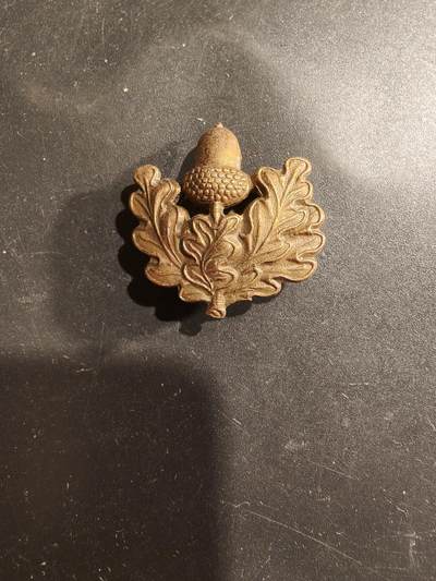 老王徽章第183期 - 英国柴郡步兵团证章    二战时期