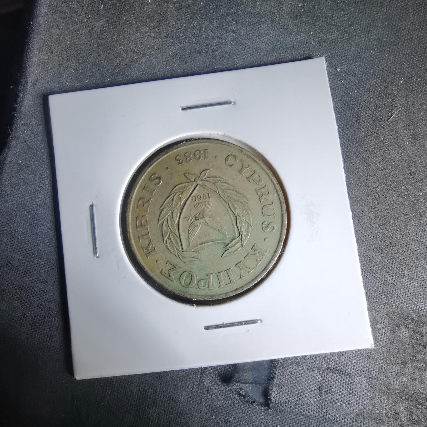 沼泽如烟--第999场