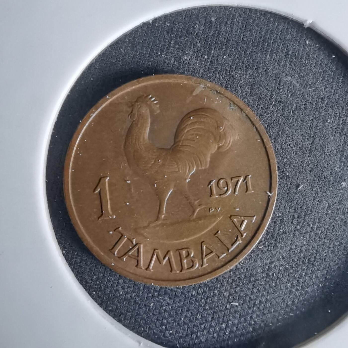 沼泽如烟--第999场 马拉维1971年1坦巴拉