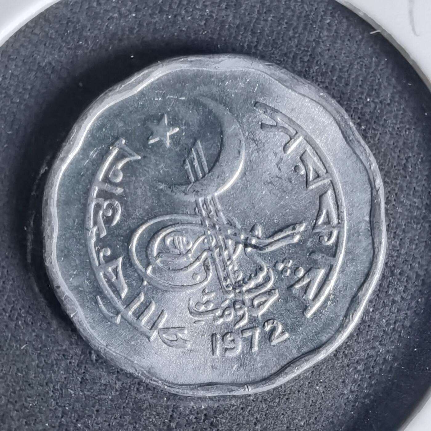 沼泽如烟--第999场