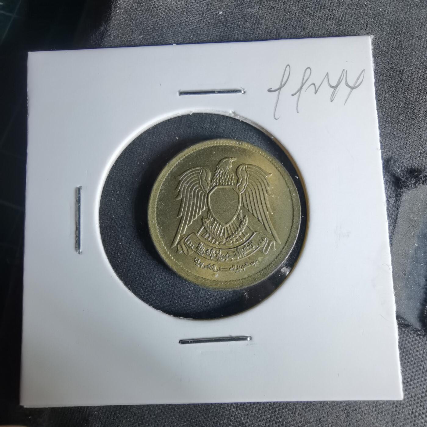 沼泽如烟--第999场