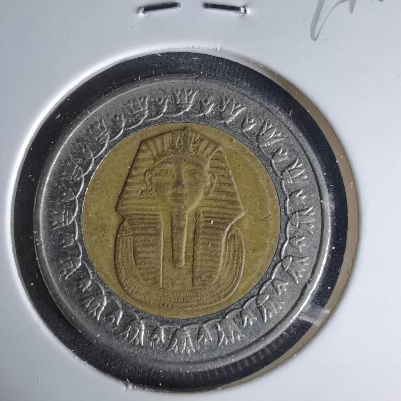 沼泽如烟--第999场