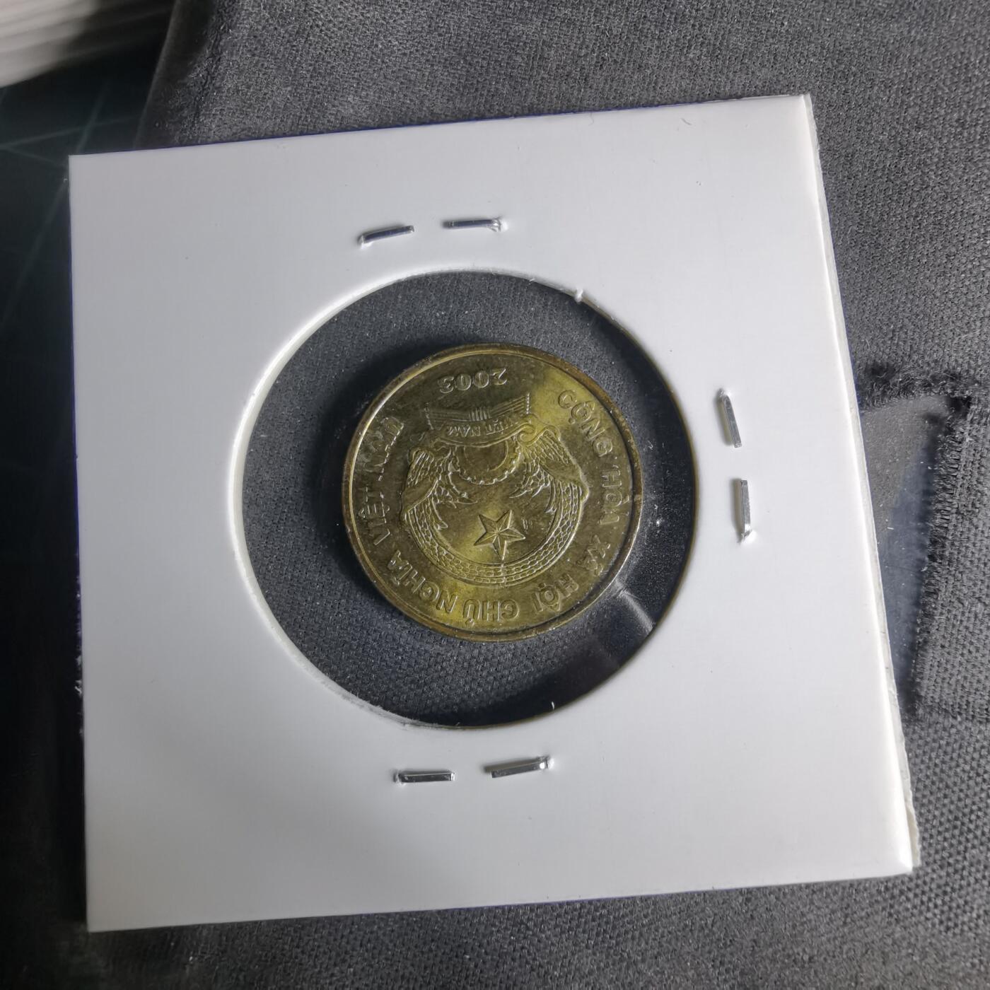 沼泽如烟--第999场