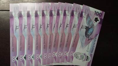 世界钱币～微拍第235期暨2026年第16期  数十款中低端货品10张批发成本价起拍 - 2024年菲律宾100比索塑料钞 首发AA冠如图十张为一件一起拍 全新绝品无47