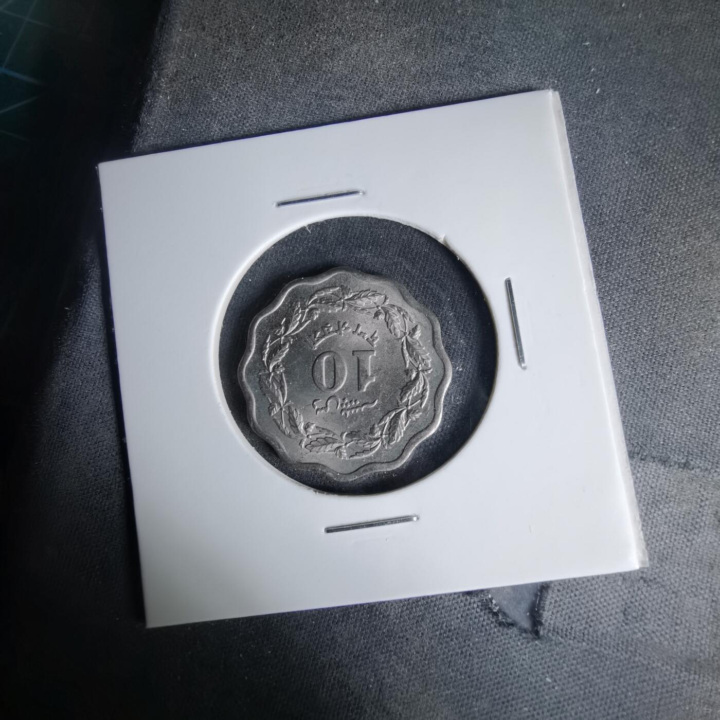 沼泽如烟--第999场