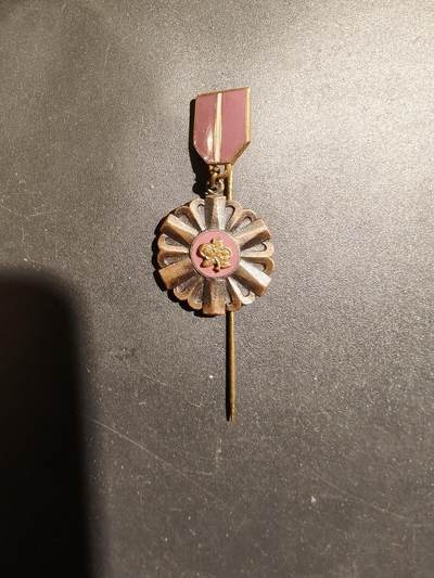 老王徽章第183期 - 波兰金婚奖章迷你针插