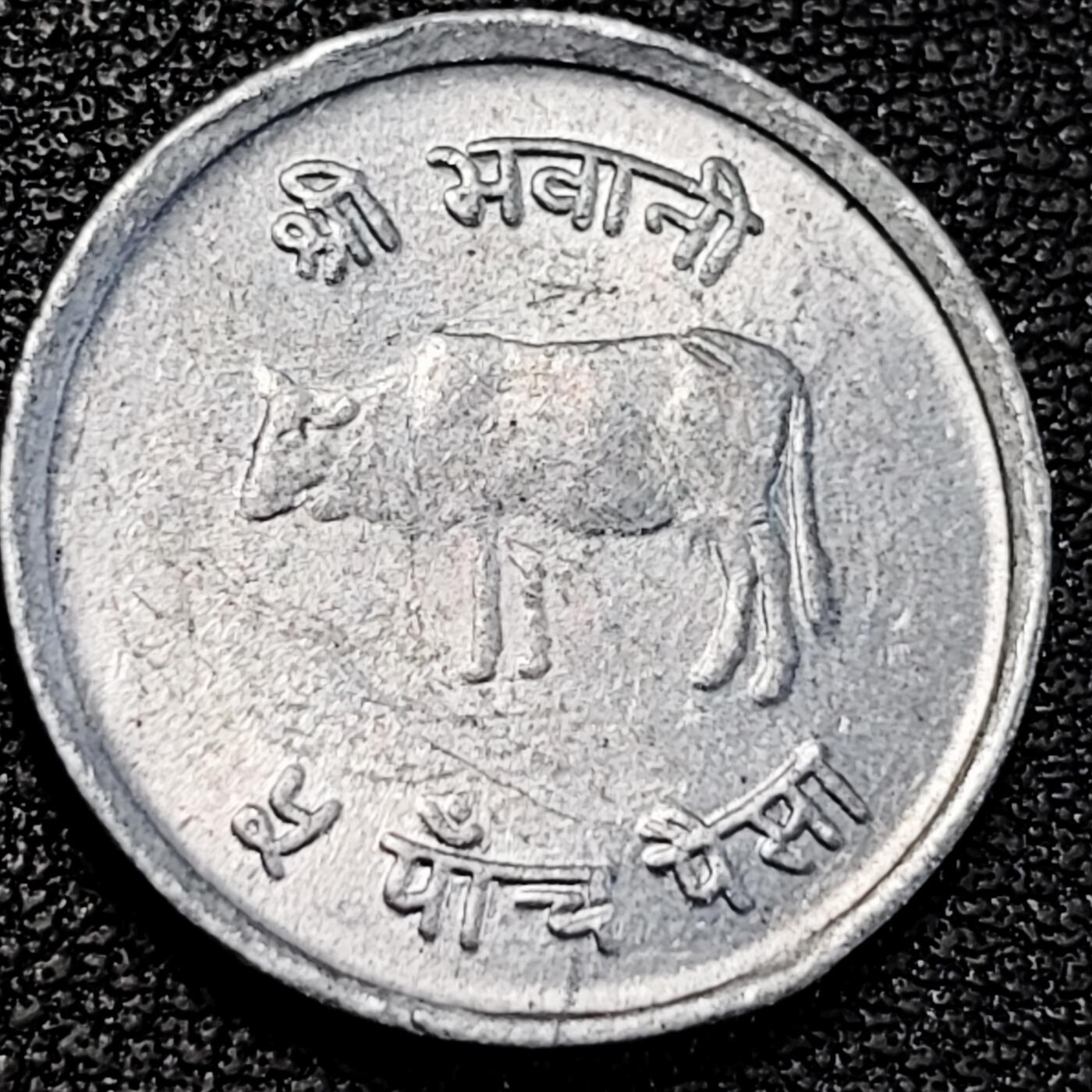 泉币菌-第195场- 新年快乐 新年第三场 本场拍品多 请提前出价 。