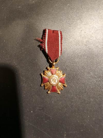 老王徽章第183期 - 波兰人共金级功绩勋章迷你章