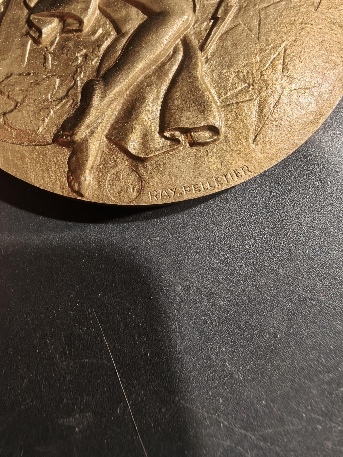 老王徽章第183期 法国电气工程总工会大铜章     原盒     直径66mm     重量164.3g