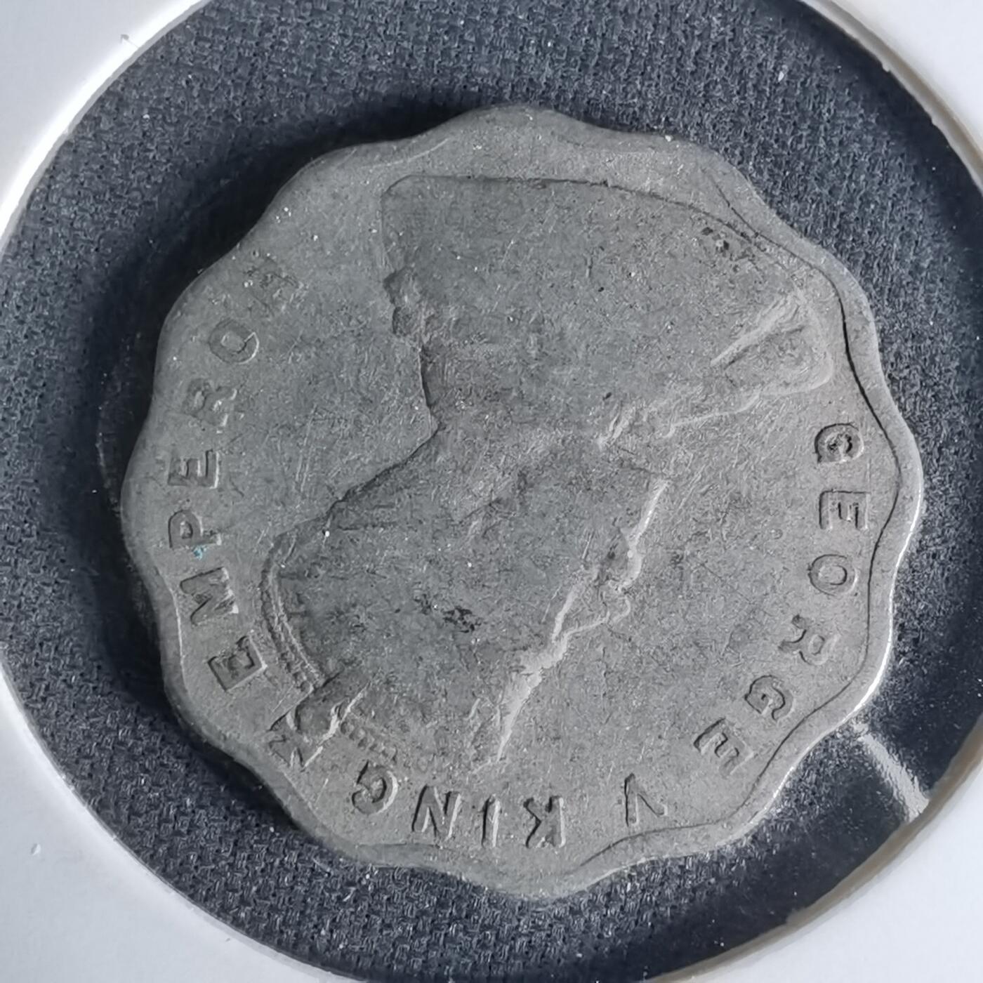 沼泽如烟--第999场