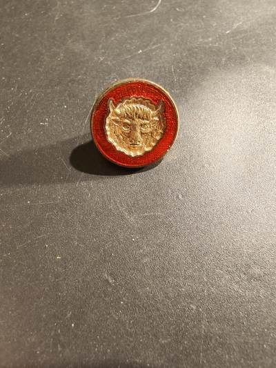 老王徽章第183期 - 英国共济会证章