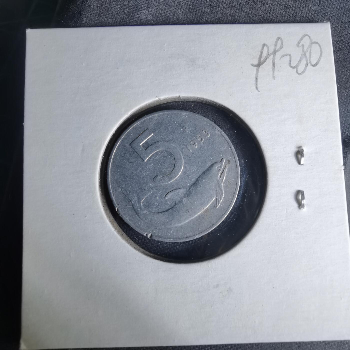 沼泽如烟--第999场