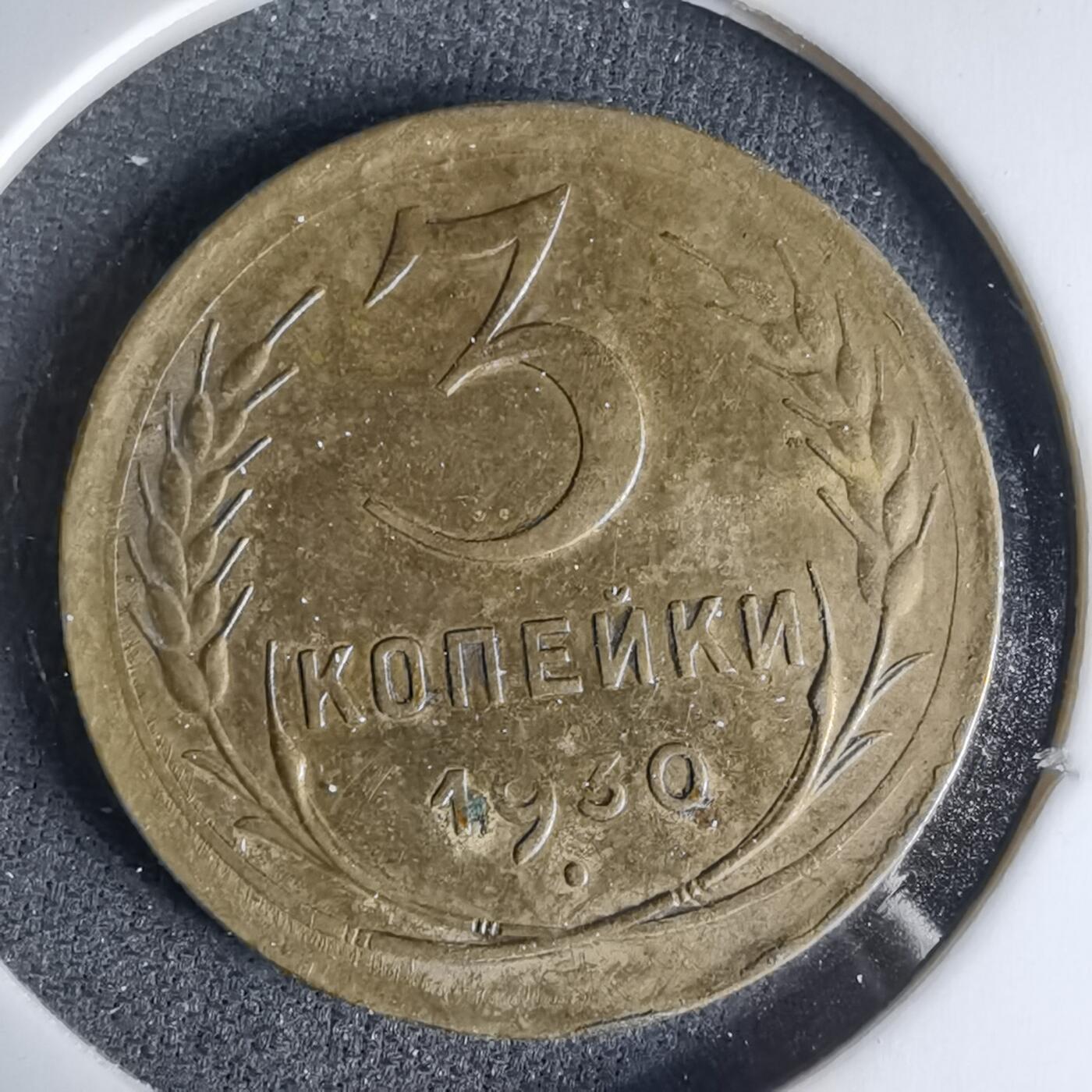 沼泽如烟--第999场