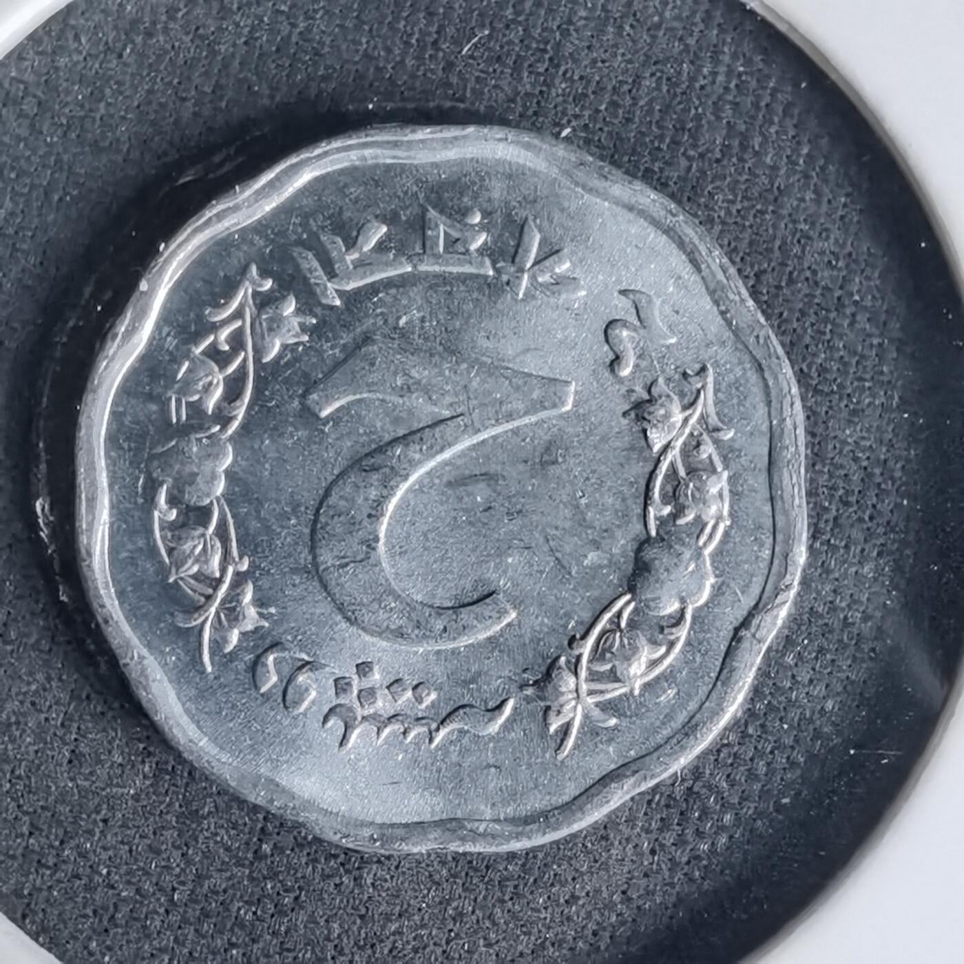 沼泽如烟--第999场