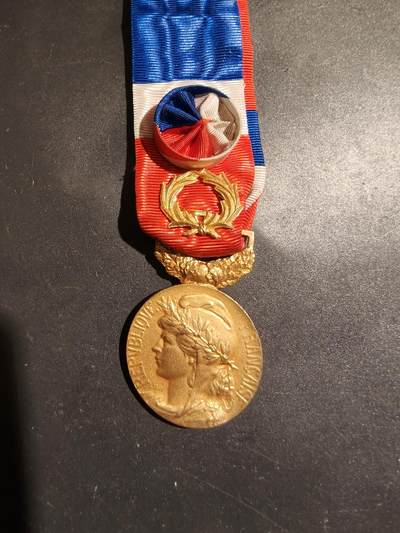 老王徽章第183期 - 法国金级劳动荣誉奖章    金花环勋饰     1958年实发