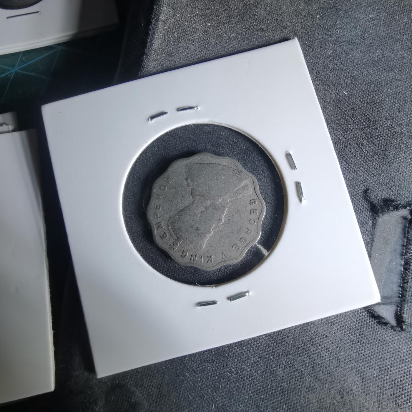 沼泽如烟--第999场