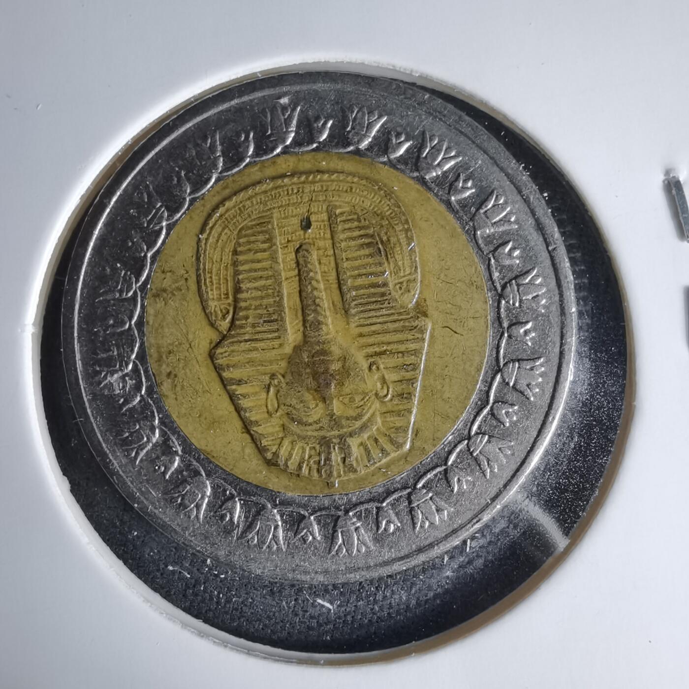 沼泽如烟--第999场