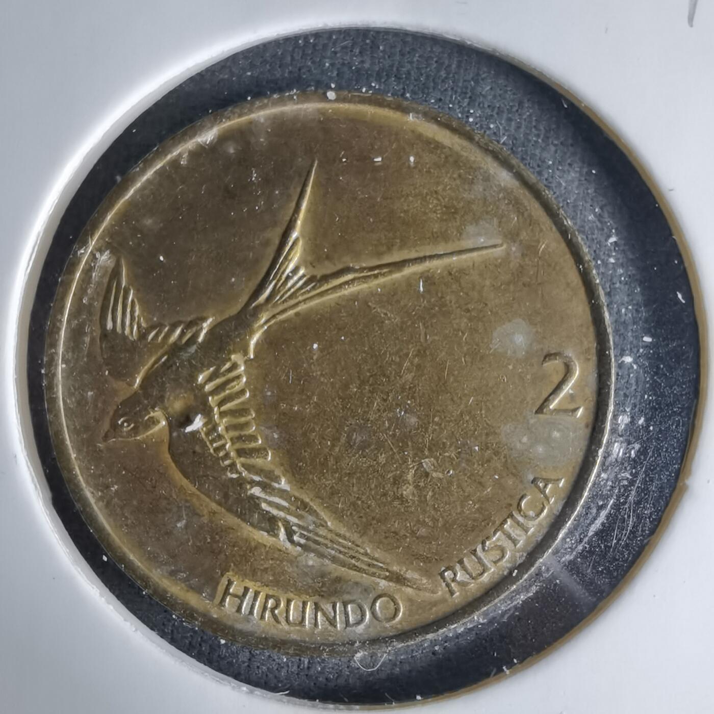 沼泽如烟--第999场