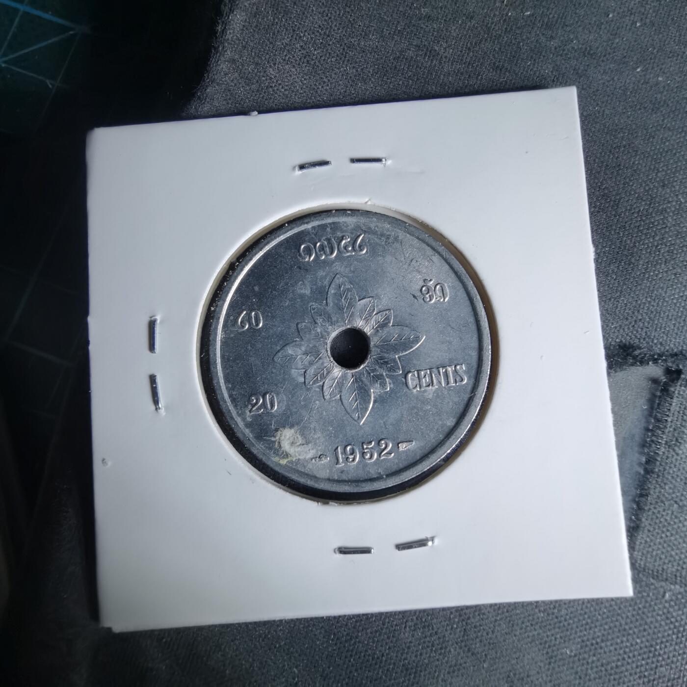 沼泽如烟--第999场