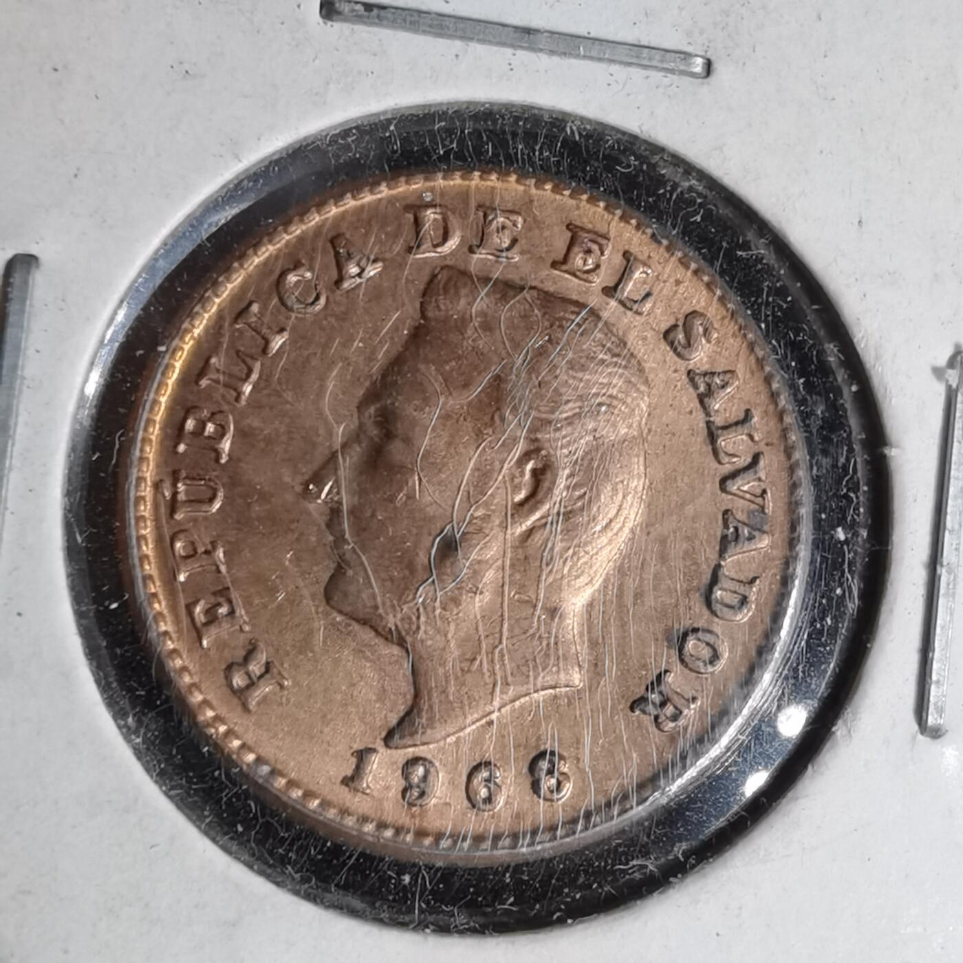 沼泽如烟--第999场