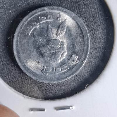 沼泽如烟--第999场 - 尼泊尔