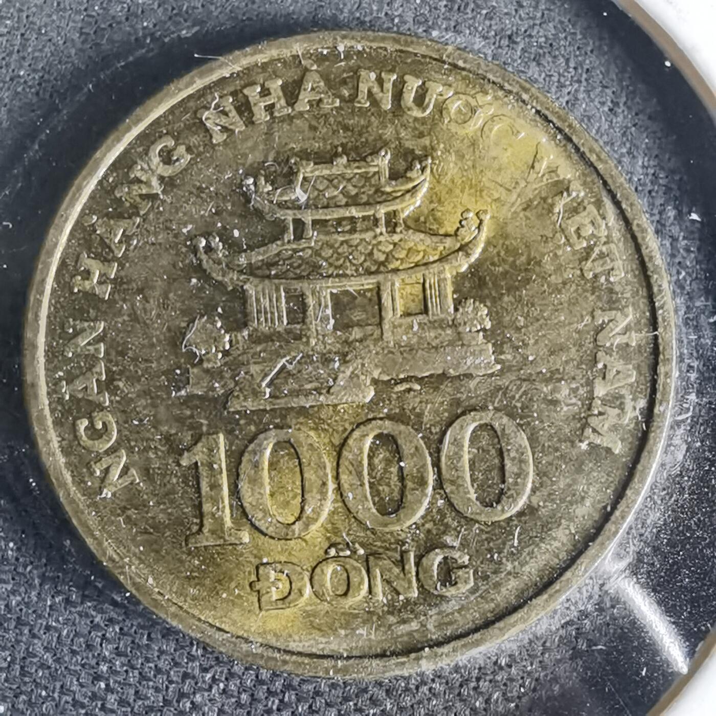 沼泽如烟--第999场