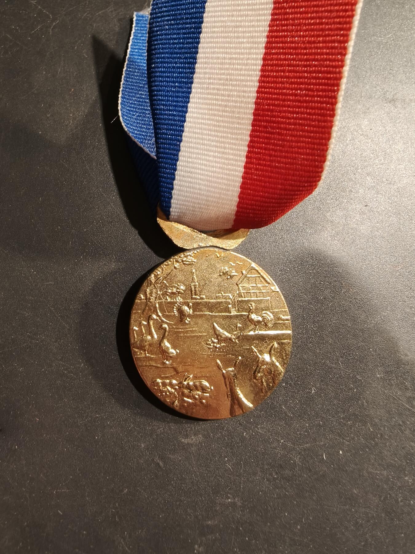 老王徽章第183期 法国金级农业荣誉奖章