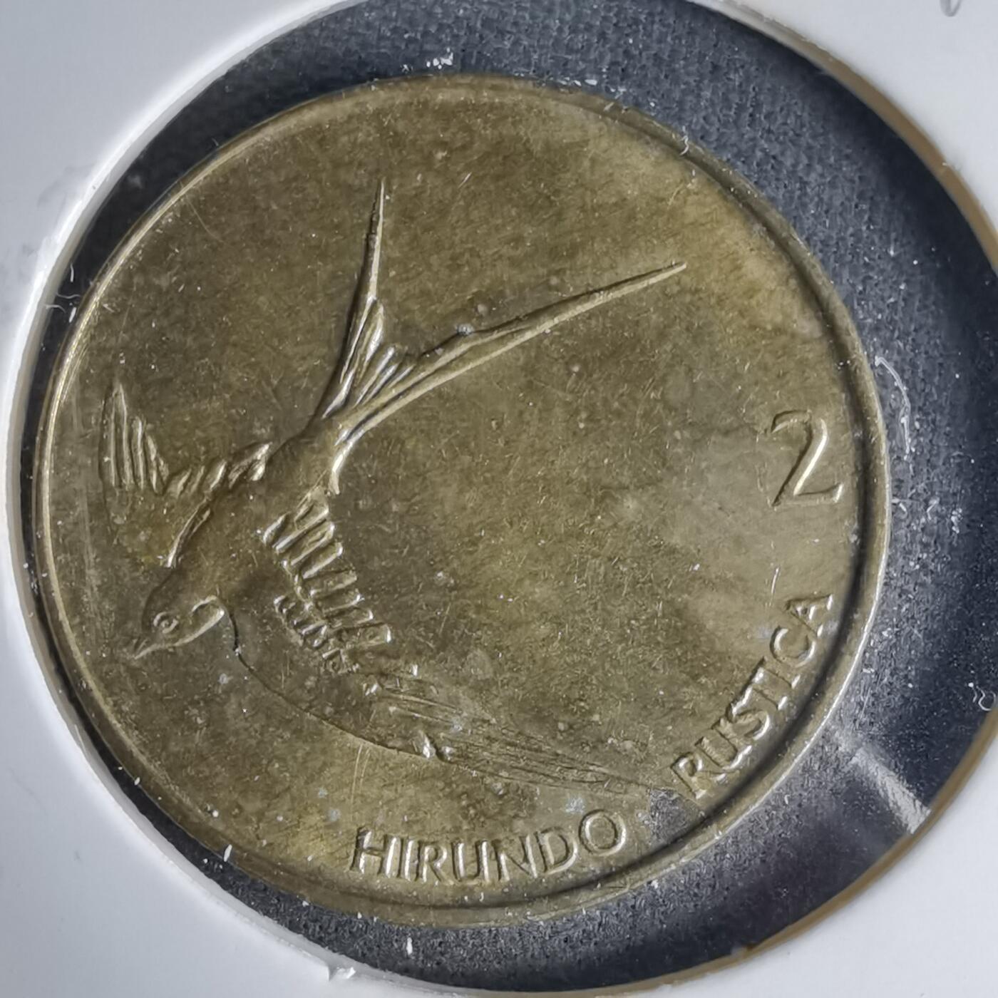 沼泽如烟--第999场