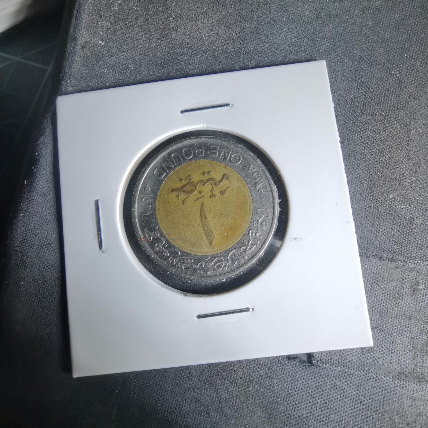 沼泽如烟--第999场