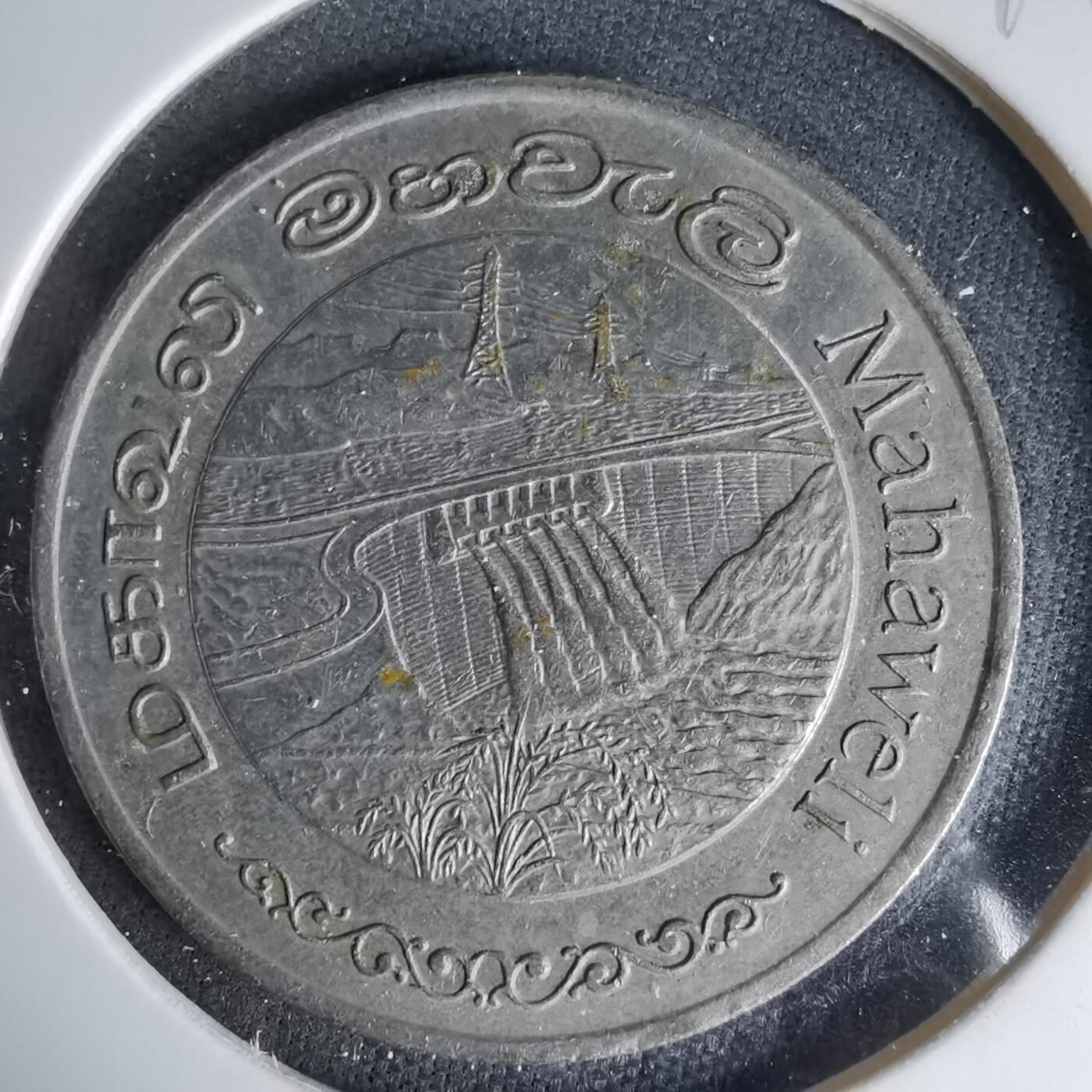 沼泽如烟--第999场