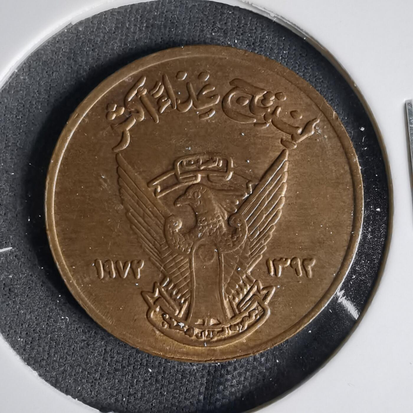 沼泽如烟--第999场 苏丹