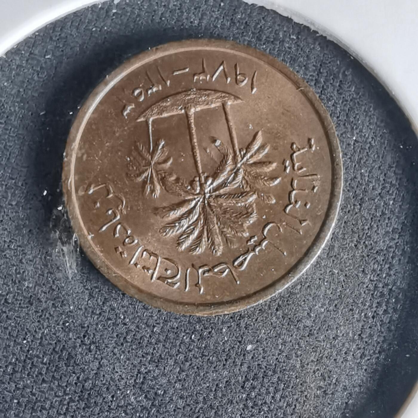 沼泽如烟--第999场